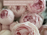 Чирий...на том самом месте,у мужа...да не один...два...