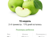15 недель .