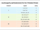 Девочки 18 недель это