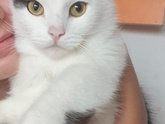 Может сочтете меня не нормальной..??♀️много букв
