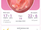 Первородящая, сейчас на 17