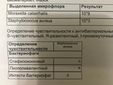 Стафилококк