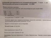 Двурогая матка. Синехии