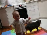 Человек прямоходящий ? Вчера