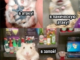 Кто из них ты?