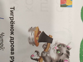 Ну это же кот , правда ? Или все таки тигренок ? 😂