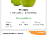 37 недель, что происходит с организмом
