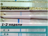 Кто разбирал Электронный клиа?
