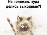 Любите понедельник?