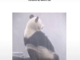 Это мы