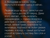Тревога
