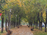 Доброе осеннее утро 🍁