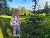Без смеси ночью. И просто о дочке