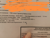 Долгожданное узи))) далала 4