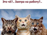 А вы готовы?