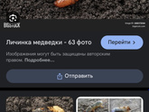 Как называются эта гады