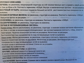 Результаты моей МСКТ...