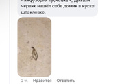 Гун не помог, все