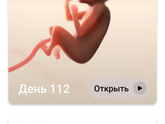 16 недель