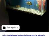 Владельцы черепах хелп ми
