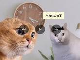 Кто со мной? 🙈🤣🤪