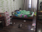 Вот такую картину я