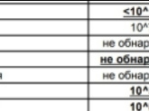 Стафилококк золотистый