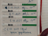 Овуляция и зачатие