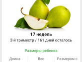 17 недель. 🍐🍐🍐