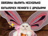 Пивная фея!