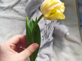 ❤️С праздником, девочки♥️