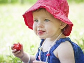 Ягодный прикорм: основные правила введения ягод в рацион ребенка.