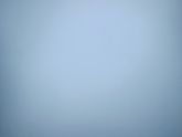 Девочки , вы их
