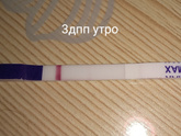 4Дпп, укол хгч 2000
