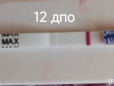 12 дпо