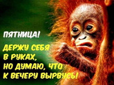 С пятницей! На что разрешите себе забить сегодня, чтобы стать счастливее?