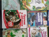 Какие книги читаете сейчас детям в 5-6 лет?