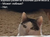 Как бы ... действительно так 🤣