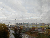 День - дохлый тюлень