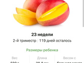 Пртвет, 23 неделька 🥰💖
