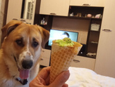 Мой🥰🐕