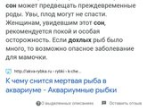 Плохие сны.