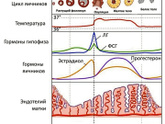 Мигрень