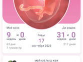 9 неделек.