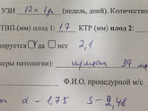 Помогите расшифровать «комментарий» к 1 скринингу! Врач сказала,