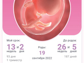 Прошла скрининг 1 триместра.