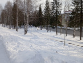 Погода