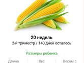 Экватор!