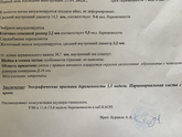 УЗИ 5,6 недель