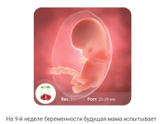 9 недель червячку?
